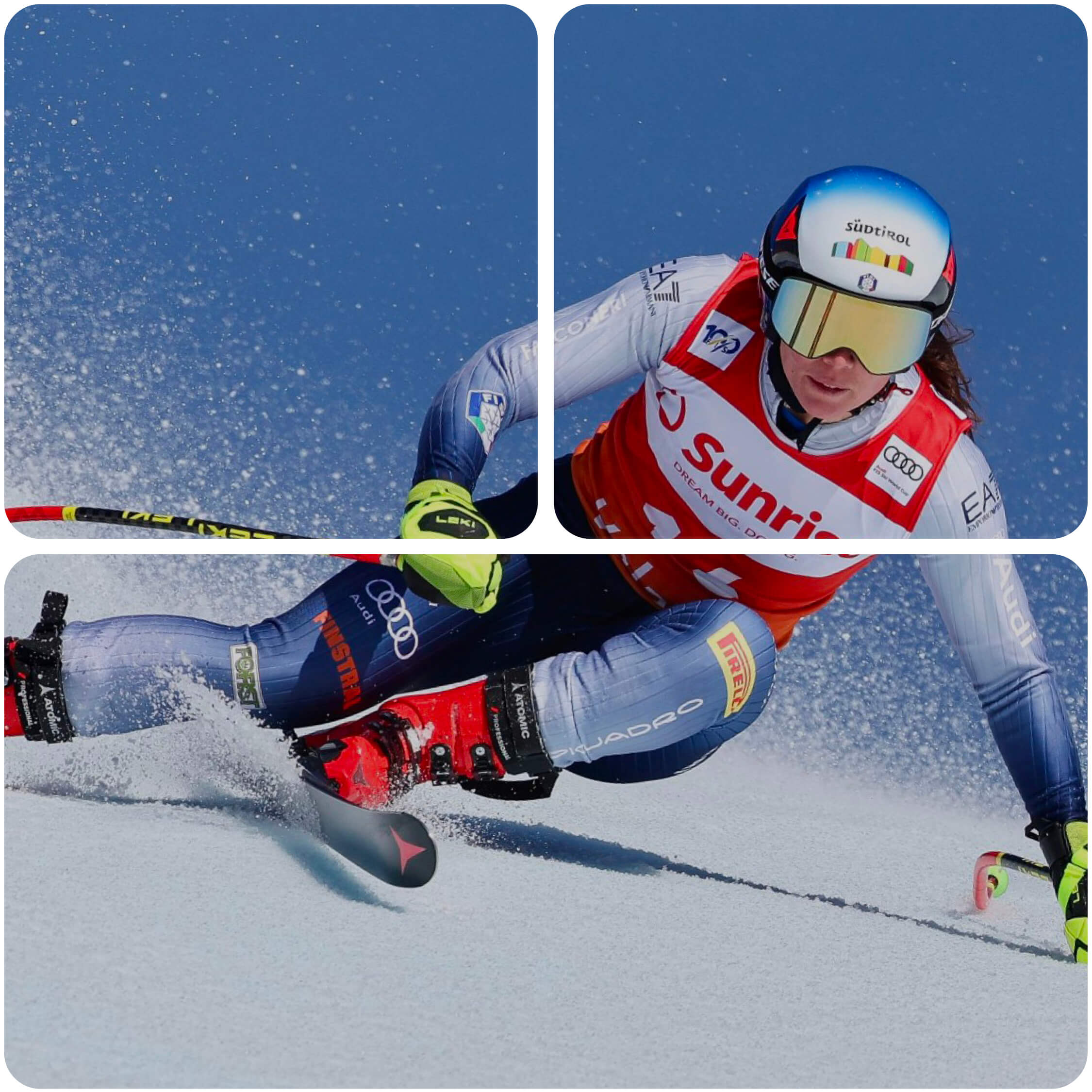 immagine tesseramento